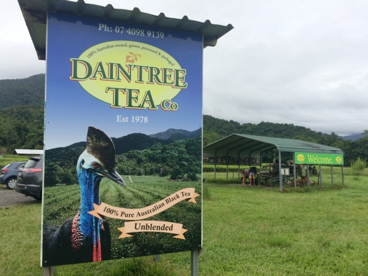 daintree_tea_co_sign.jpg